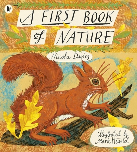 First Book Of Nature - cover