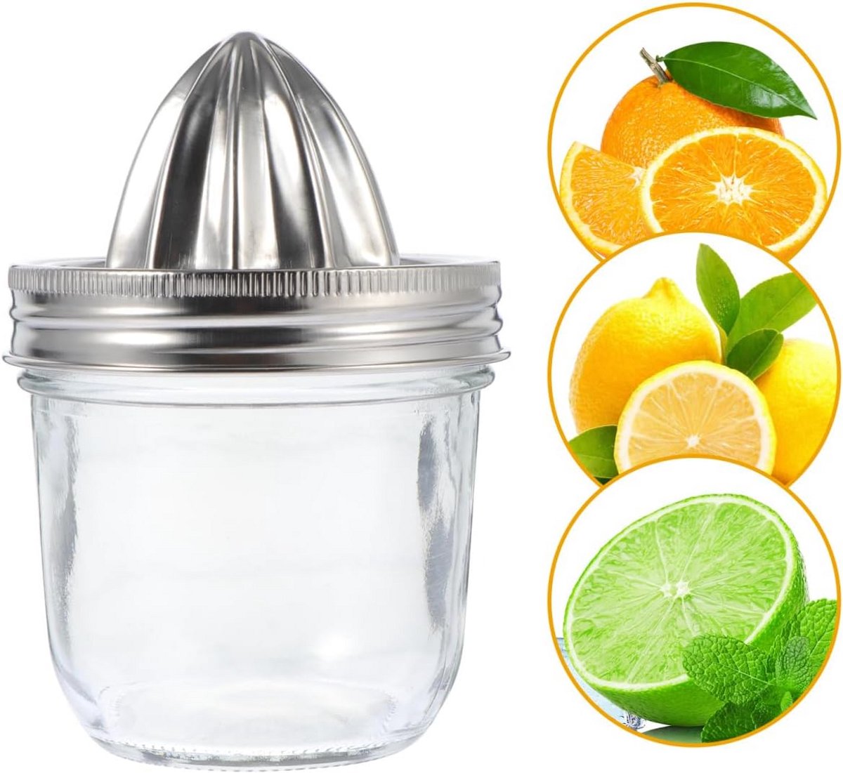 Handmatige Citruspers met Glazen Pot en RVS Deksel 280ml