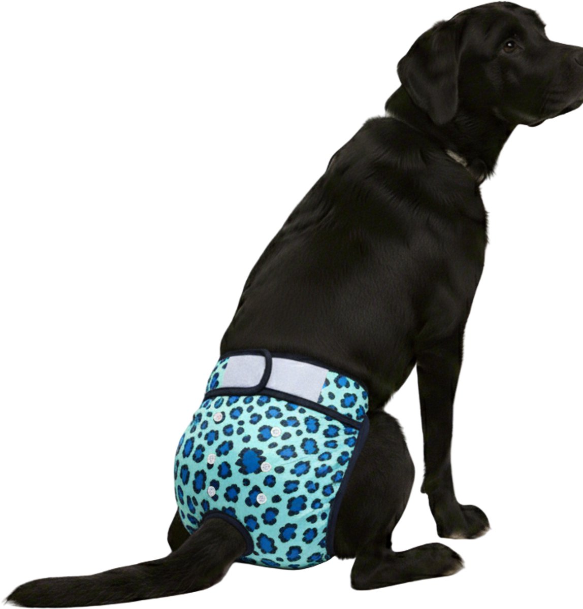 Loopsheidbroekje Hond - XL - Hondenluier - Luipaard Blauw - Wasbaar - Hondenluier - Verstelbaar: 48-69 cm - Herbruikbaar - Voor loopse teefjes - Bij incontinentie
