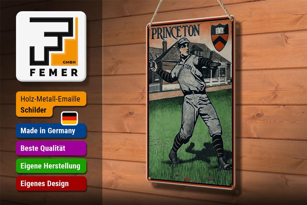 Blechschild Retro 20x30cm Princeton Baseball