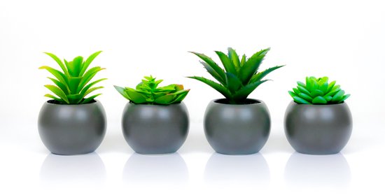 Ensemble de quatre petites succulentes artificielles dans des pots ronds gris foncé.