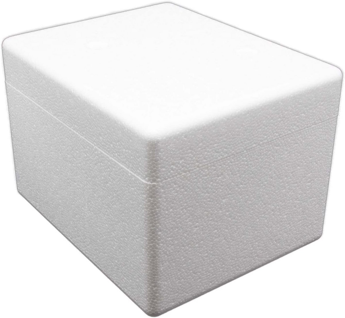Thermobox 3,6 liter voor veilig vervoer van reptielen en insecten - 26 x 21 x 18 cm