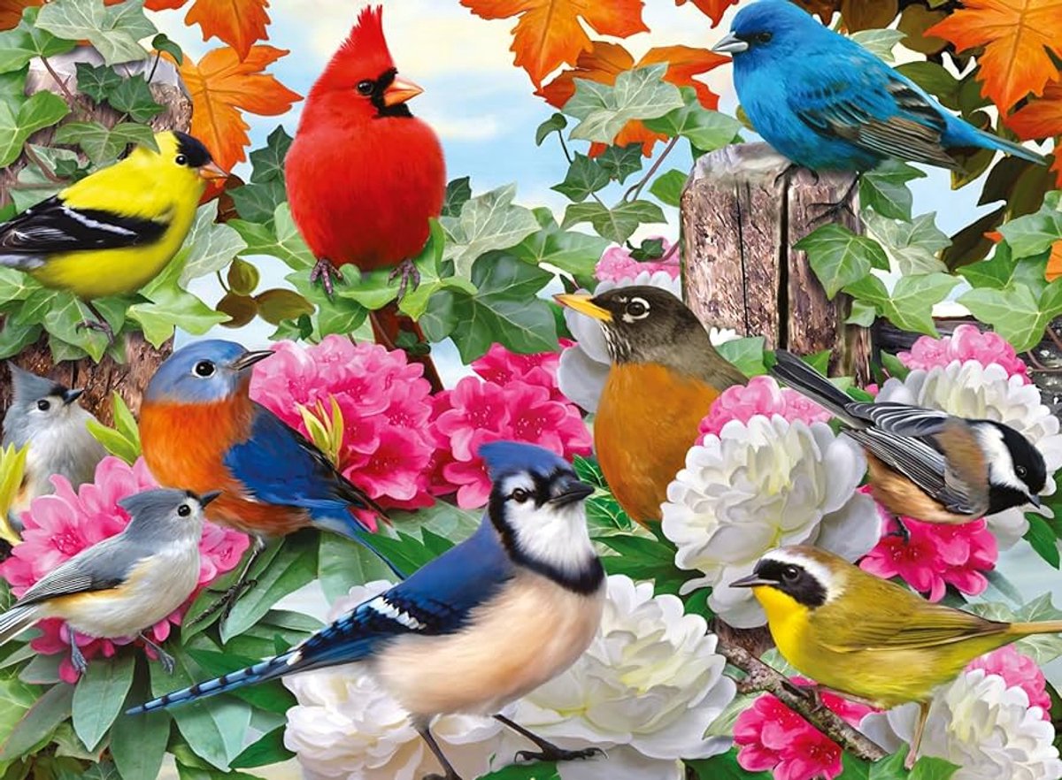 3D Puzzle Vogels 500 Stukjes