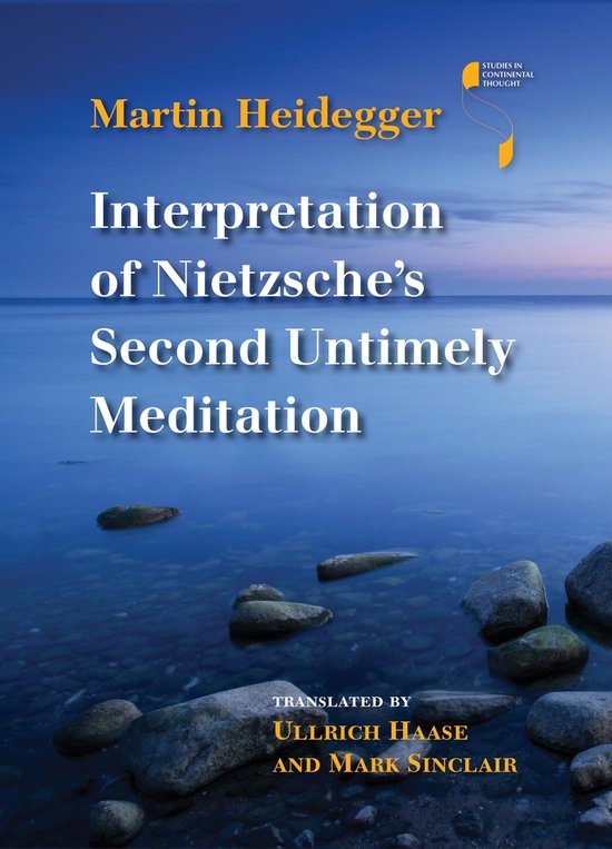 Studies in Continental Thought - Interpretation of Nietzsche ... - cover