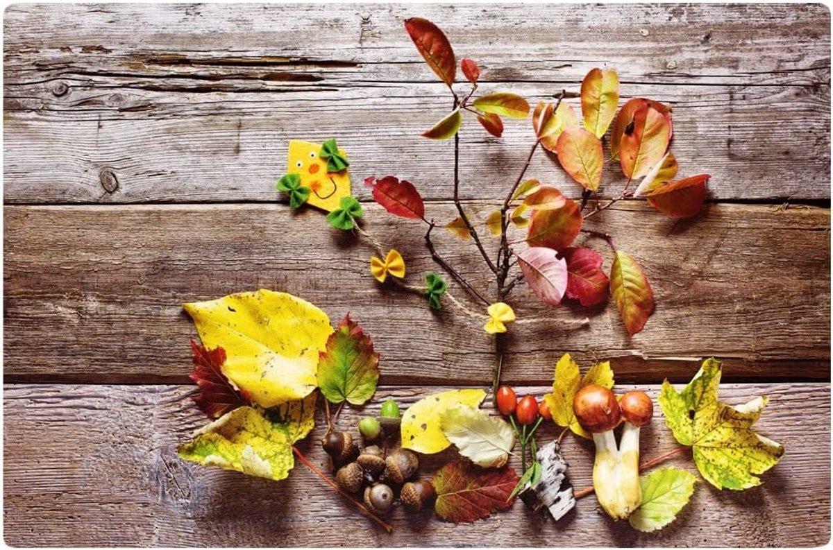 Herfst Tafelmatten Met Motief Wasbare Bladeren Set Van 4