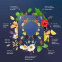 Product afbeelding  7