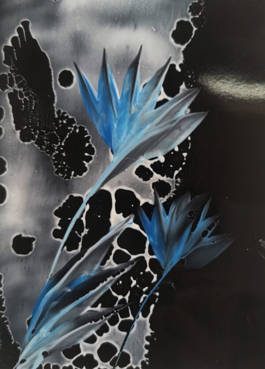Encaustic Magic Paper A4 10 stuks