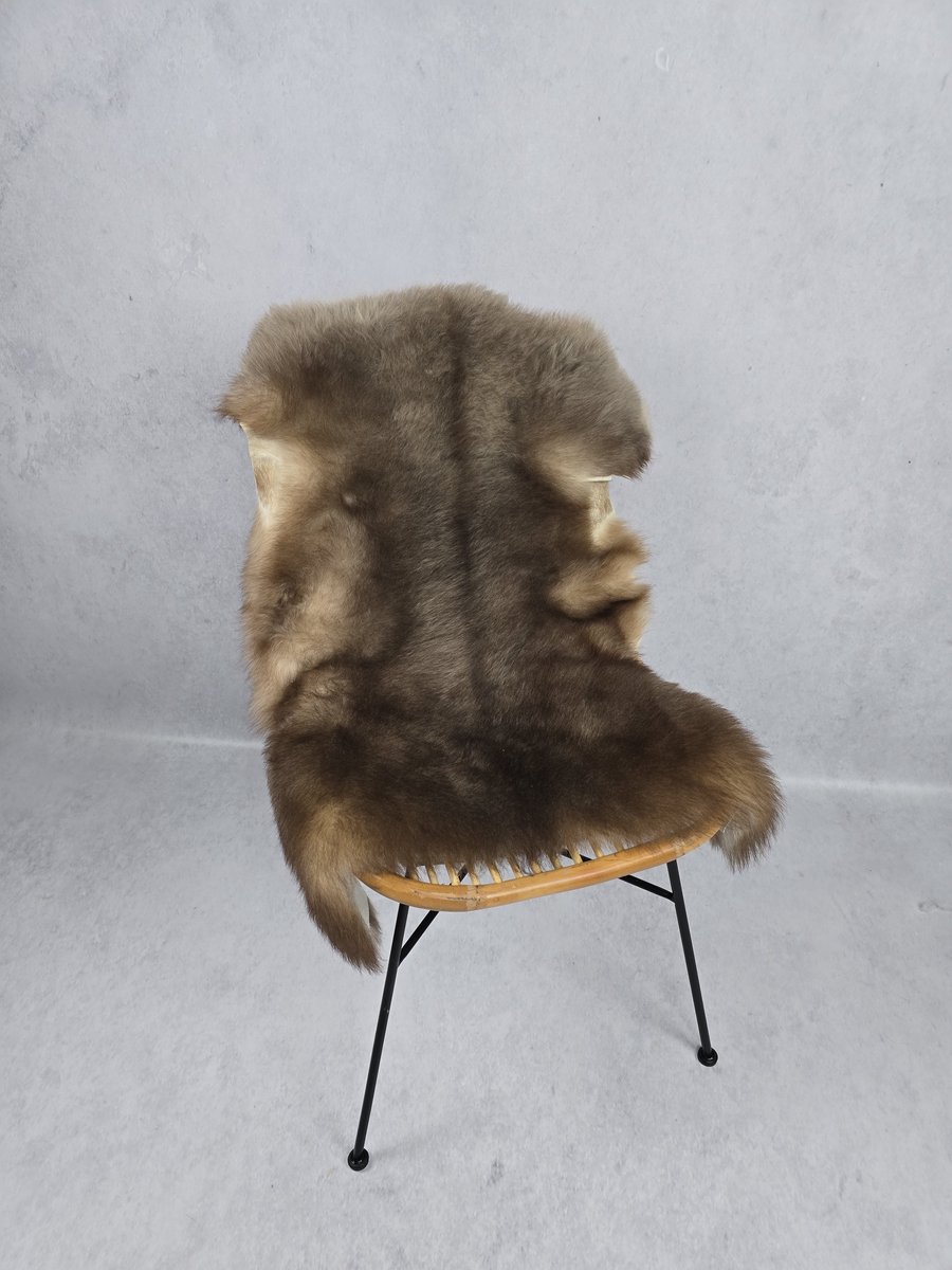 Schapenvacht Albanees – Woondecoratie – Exclusieve collectie – Bruin, Taupe – 100% echt natuurlijke wollen vacht – 105x75 cm
