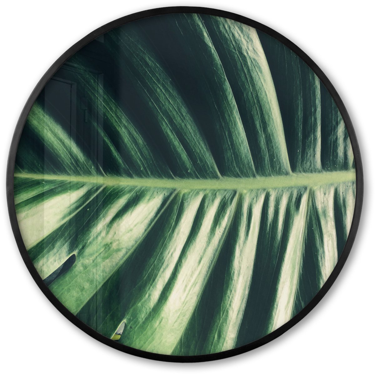 FrameYourWall Poster in lijst Rond - Fotolijst 60x60 cm - Posters - Tropisch - Natuur - Jungle - Ronde posterlijst zwart - Decoratie - Wanddecoratie woonkamer - Muurdecoratie slaapkamer Multicolor