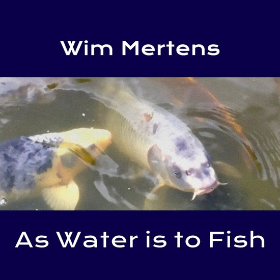 Wim Mertens - As Water Is To Fish (CD)