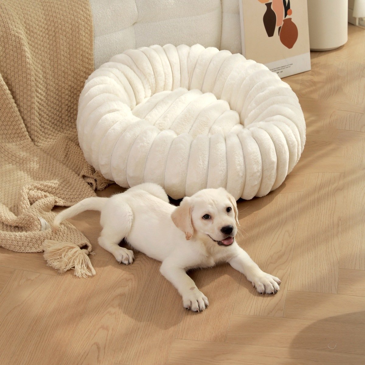 Luxe Fluffy Hondenmand & Kattenmand – Donut Pompoen Stijl – 60 cm – Zacht & Rustgevend – Crème Wit – Met Anti-slip
