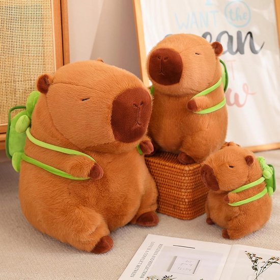 Knuffel Capybara met Rugzak - 23cm Knuffeldier voor Kinderen van Merkloos — afbeelding 2