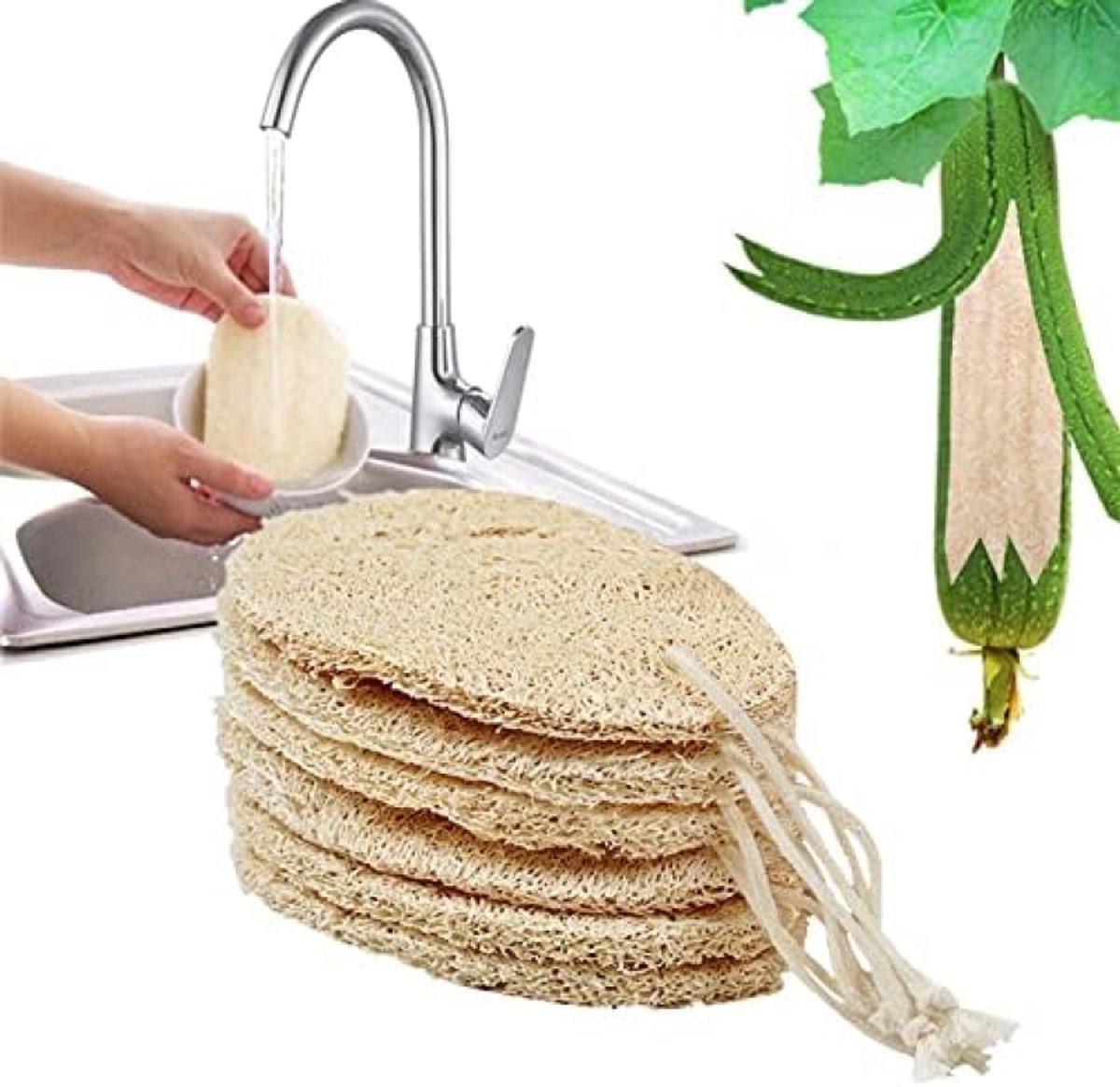 Set van 6 natuurlijke schuursponzen voor keuken en badkamer