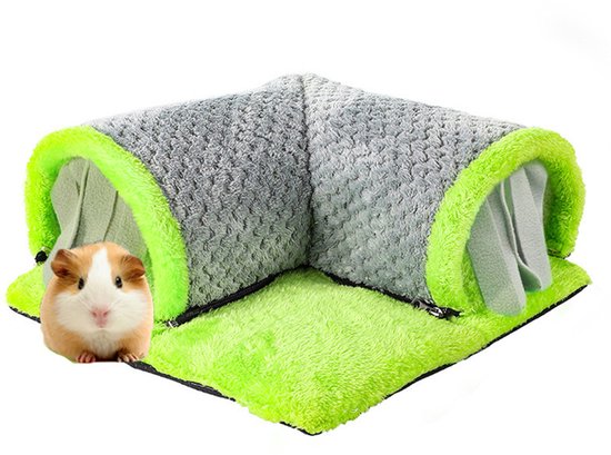 Een cavia bij een grijs met textuur, groen-gerande tunnel. De tunnel is L-vormig en ligt op een groen kleed.