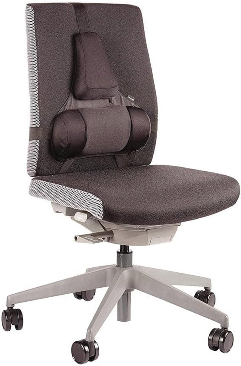 Professionele rugsteun met traagschuim voor optimaal comfort