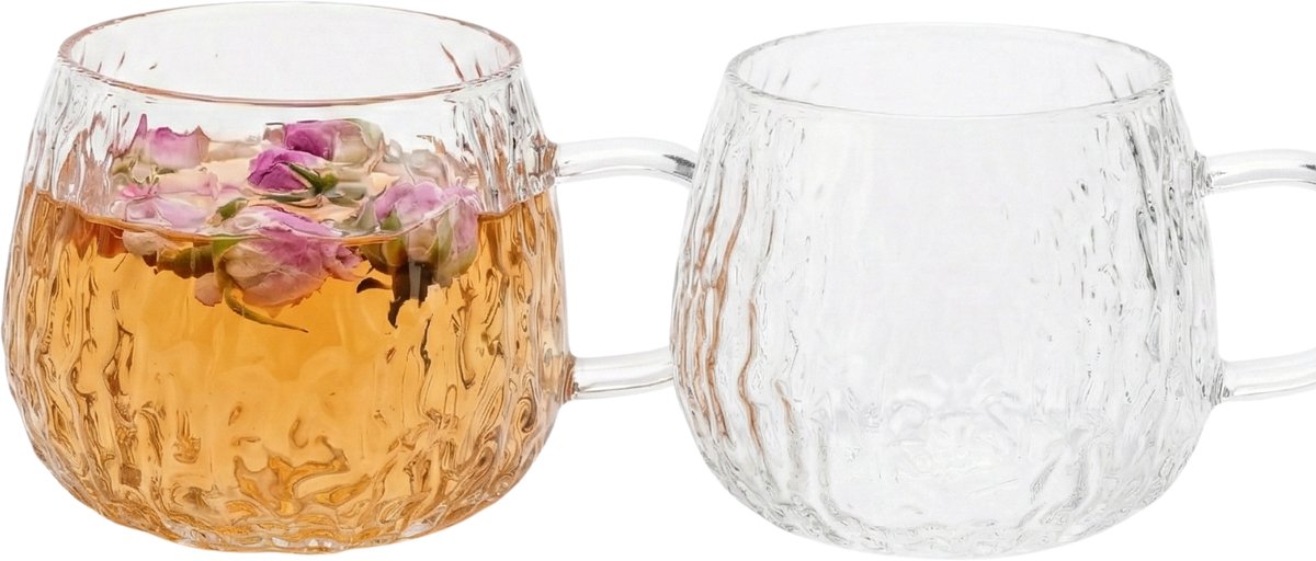 Vamora Zavro - Koffieglazen - Thee glazen met oor - Waterglazen - matcha glazen - cappuccino - latte machiato - Transparant glas - Glazenset - set van 2 stuks - 250ml