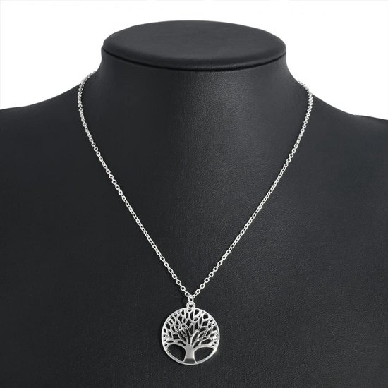 Ketting met abalone zonhanger zilver