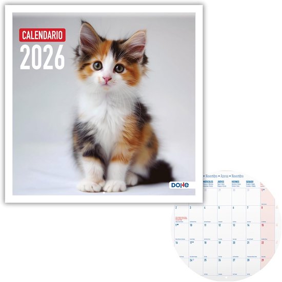 Finocam Neutrale wandkalender 2025, maandoverzicht, januari 2025 - december 2025 (12 maanden), Catalaans