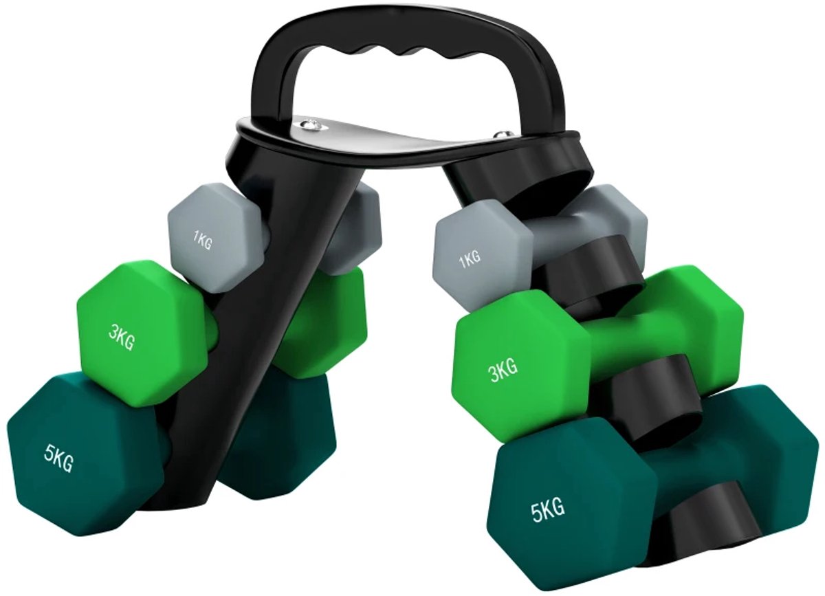 Halterset met Halterstandaard - Dumbells - Gewichten - Dumbells set van 6 Halters - Gewichten Fitness - 2 x 1 kg, 2 x 3 kg, 2 x 5 kg - Halter set voor Krachttraining, Workout, Gym - Meerkleurig