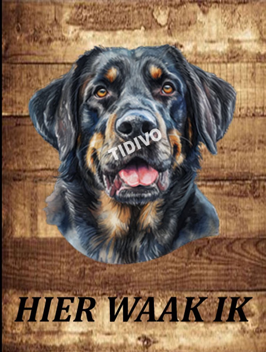 Münsterländer 20