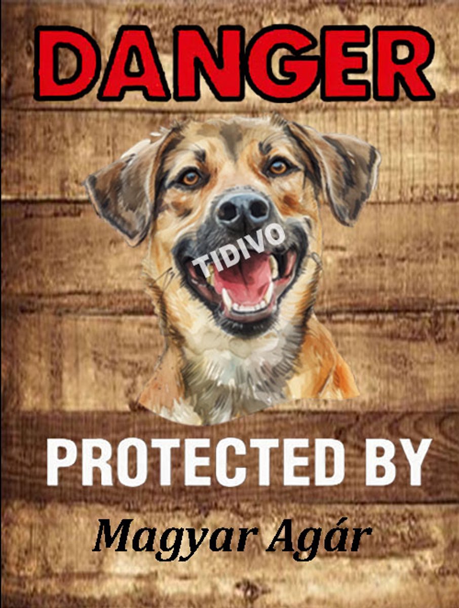 Magyar Agár 19