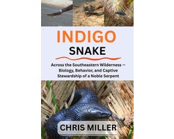 Indigo Snake