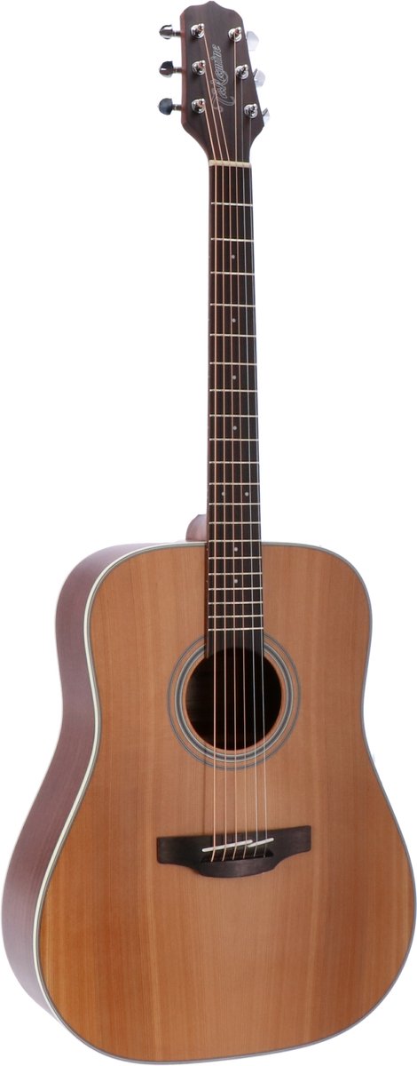 Takamine GD20 Natural Satin westerngitaar