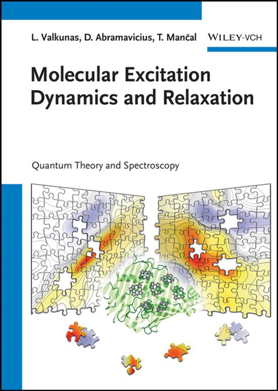 Molecular Excitation Dynamics and Relaxation