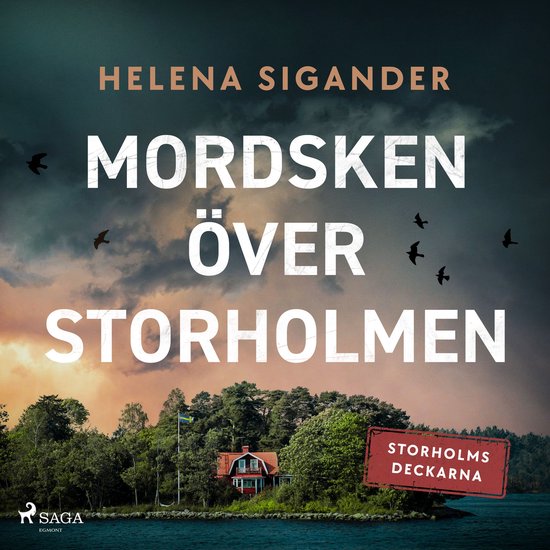 Mordsken över Storholmen - cover