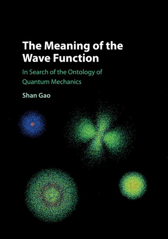The Meaning of the Wave Function - cover