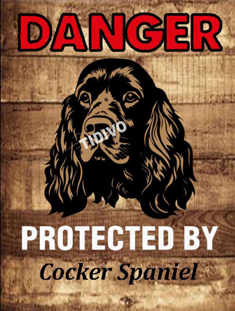 Cocker Spaniel 19