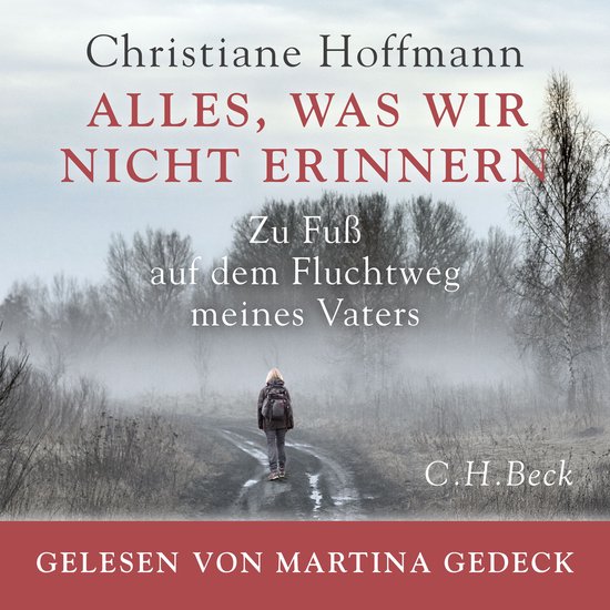 Alles, was wir nicht erinnern - cover