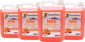 Nettoyant tout usage Famiflora Jolie 20 litres (4 x 5L) - Pomelo - Pack économique - Parfum frais de pamplemousse - Convient à plusieurs surfaces