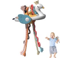 Kraftverdia Montessori Zwanenmodel