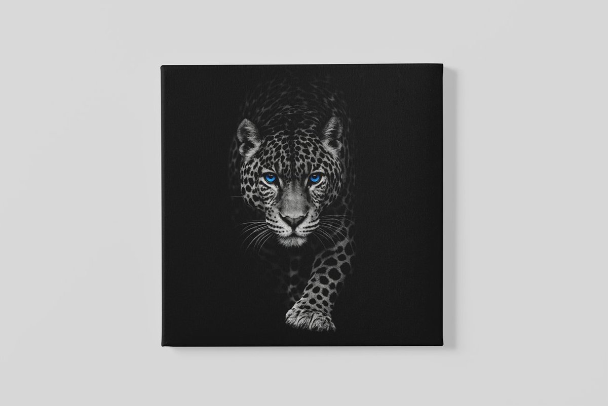 Trendex Global Vierkant Canvas Schilderij - Luipaard - Zwart - Grijs - Wanddecoratie - Modern - 40x40x2 cm