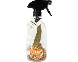 Pineut ® Huisparfum Eucalyptus Pine 400ml - Roomspray Eucalyptus & Dennen - Maak je eigen Interieurspray - Housewarming Cadeau - Homespray - Huisspray - Heerlijke Geur
