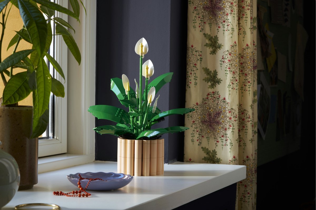 LEGO Botanicals Lepelplant - Bloemen Decoratie Bouwpakket voor Volwassenen - 11504 – foto 5
