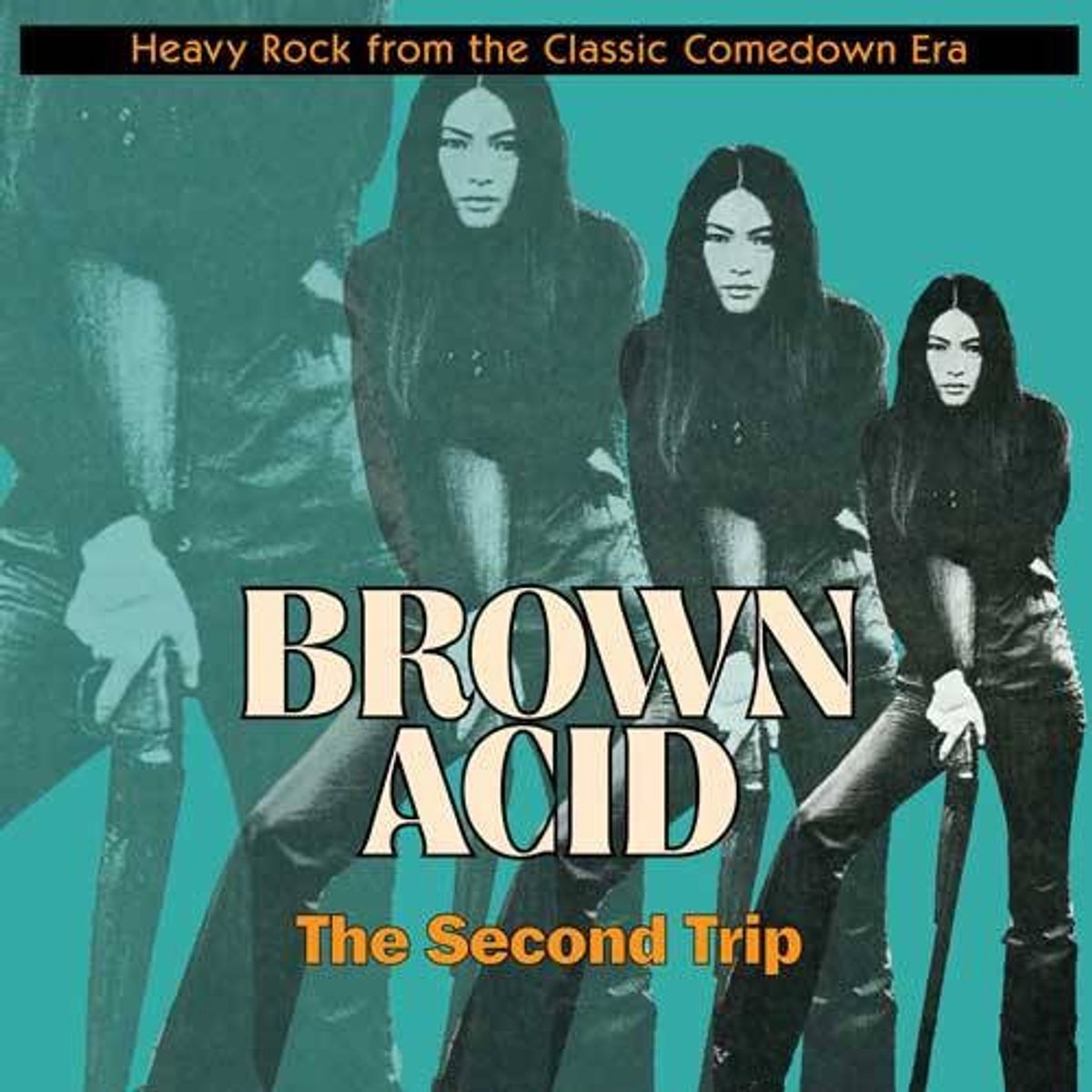 Various Artists - Brown Acid: The Second Trip (LP)
