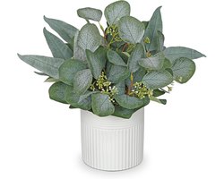 Artificial Eucalyptus Plant Indoor