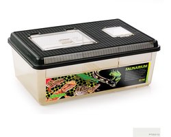 Exo Terra Terrarium - Reptielen - Faunarium Vlak L - 46.5x30.5x18cm - 1st