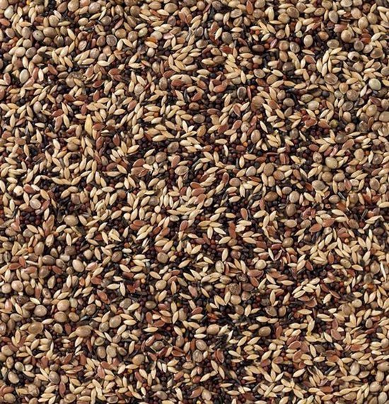Een close-up van een vogelzaadmix met kleine, bruine en beige zaden.