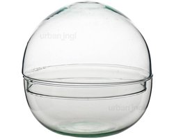 Terrarium fles 'Dome' - Tweedelig bolglas - Gesloten terrarium Ø 20 cm ↑ 20 cm