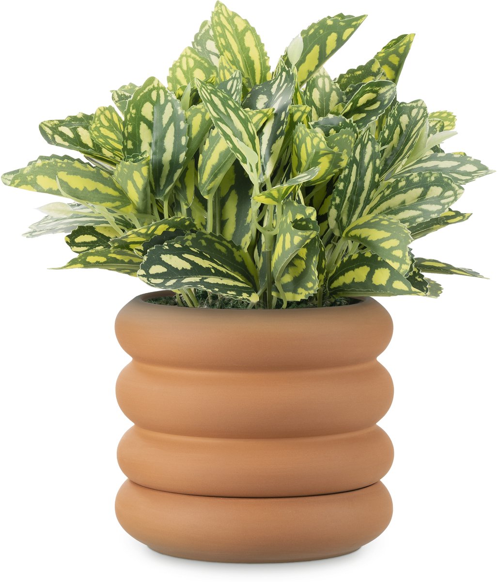 Navaris terracotta bloempot met schoteltje - Plantenpot voor binnen - 16 cm diameter, 14 cm hoog - Geribbbeld design