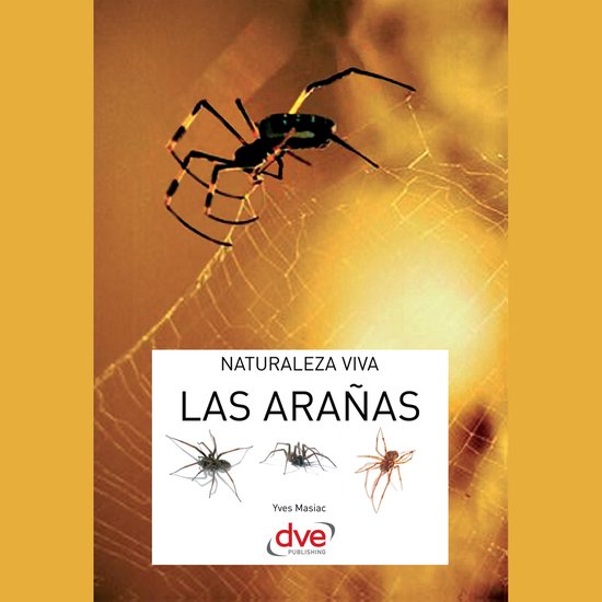 Las arañas - cover