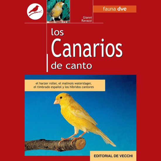 Los canarios de canto - cover
