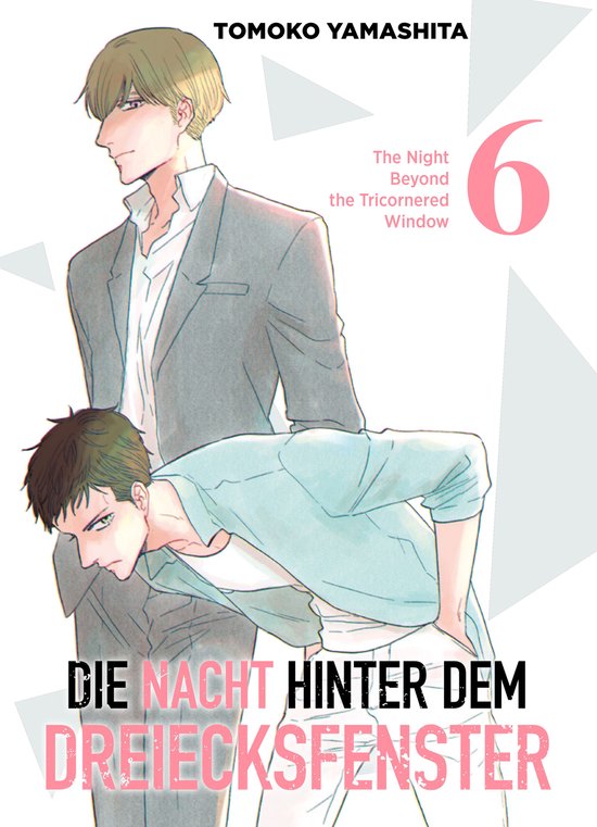 Die Nacht hinter dem Dreiecksfenster 6 - Die Nacht hinter de ... - cover