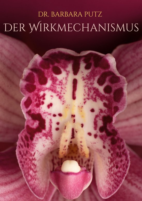 Der Wirkmechanismus - cover