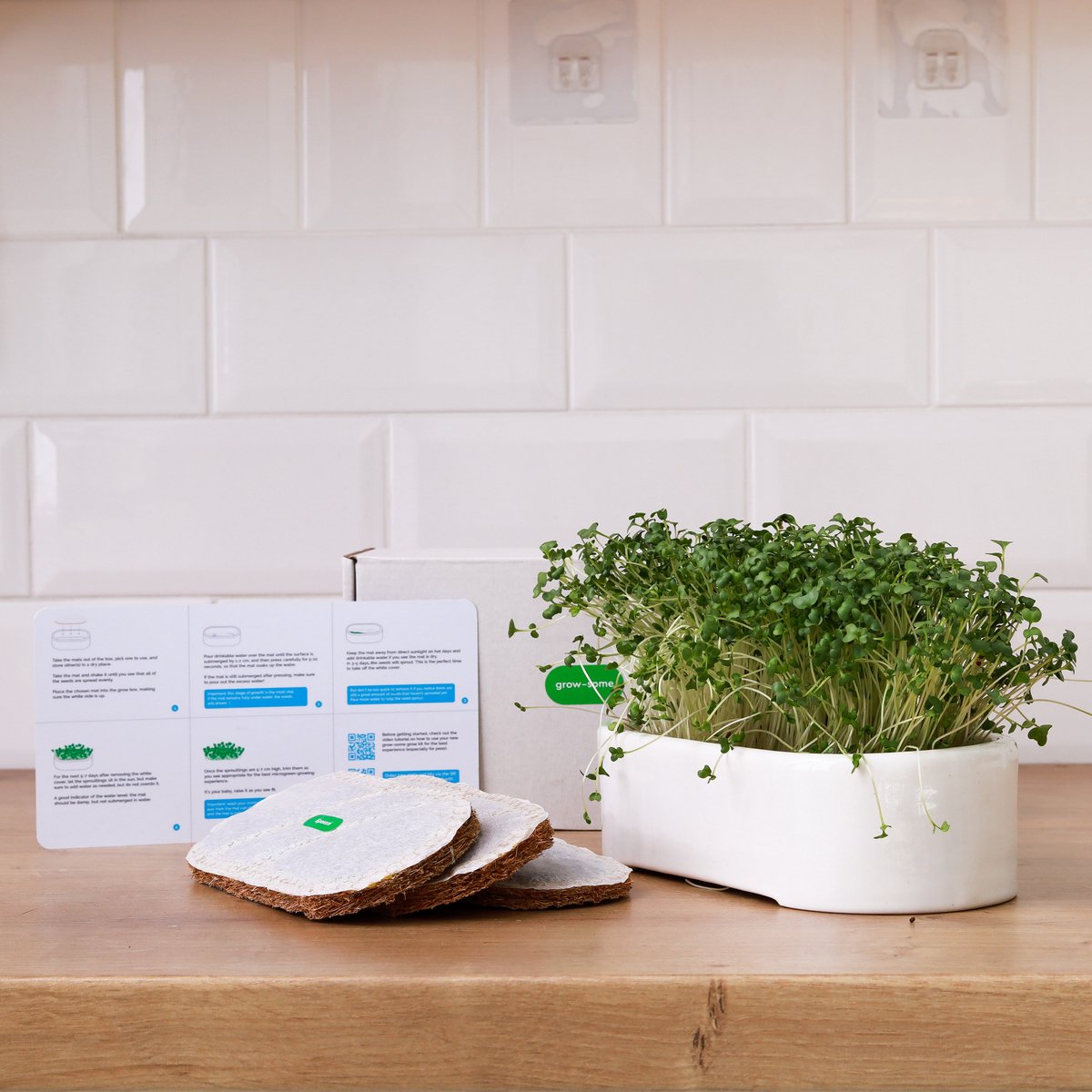Keramische Microgreen Kweekset- Microgreenstarterskit bundel met zaadpads -Microgreen Growing Kit