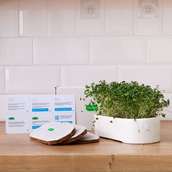 Keramische bak met gevuld met frisgroene microgreens en drie zaadpads ernaast.