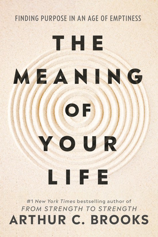 The Meaning of Your Life - cover